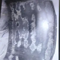 کاپوت ۴۰۵ مدادی فابریک کارخانه