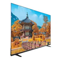 تلویزیون 65 اینچ دوو اقساط۲۴ماهه