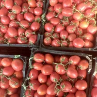 گوجه|خوردنی و آشامیدنی|بجنورد, |دیوار