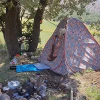 نیاز به تعدادی کارگر ساده جهت کار در مزرعه