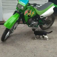 کاوازاکی کامکس جیمکس