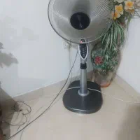 پنکه زمینی