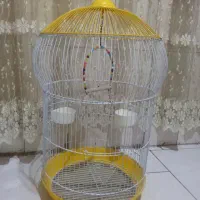 قفس بزرگ عروس هلندی (با نو فرقی ندارد )