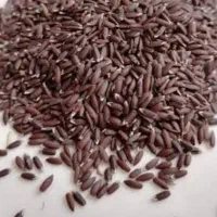 کنجد سیاه تازه
