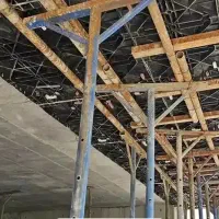 مجری تخصصی. بامصالح و بدون مصالح