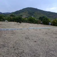 550متر-زمین-مسکونی-تک-برگ-سند-با-پروانه-جنگلی
