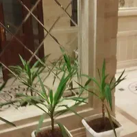 خانه بازسازی شده تمیز مناسب دفتر، انبار یا تولیدی