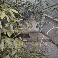 خانه کلنگی ویلایی ۲۰۰ متر