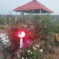 باغ ۱۰۰۰ متری با آب و برق