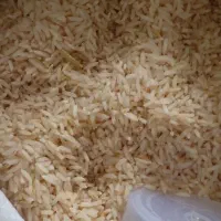 برنج طارم دم سیاه کیلو ۴۲۰