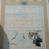 زمین پلاک 227فرعی 6سند تک برگ