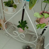 استند جا گلدانی