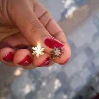 گل گوش طلا زیر گرم