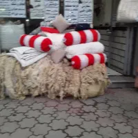 خریدوفروشپشمگوسفندخریدفروشلحافوتشک
