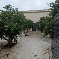 نوساخت چسبیده ب شهرساحلی سرخرود سنددار
