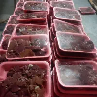 فروش جگرودل منجمدمرغ
