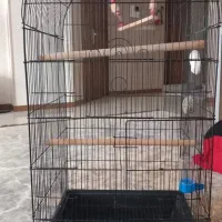 قفس سالم تمیز