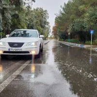 سوناتا ان اف
