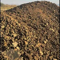 کودحیوانی