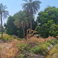 زمین مناسب مجموعه و باغ گردشگری