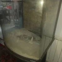 آکواریوم آب شور