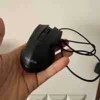 موس سالم