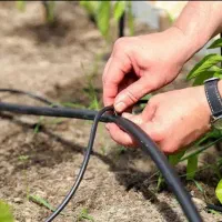 آبیاری قطره ای، هوشمند سازی، مه پاش