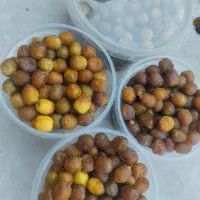 رطب خاصه