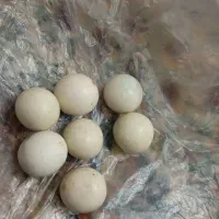 سنگ آسیاب الماس
