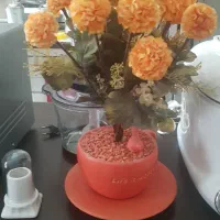 گل باگلدان وسبدگل