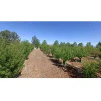 زمین-کشاورزی