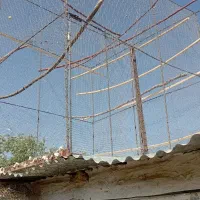 قفس آهنی فروشی