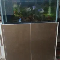 آکواریوم معاوضه