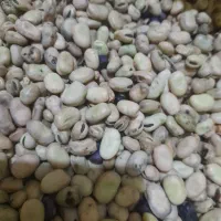 باقالی
