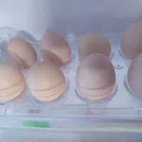 تخم‌مرغ‌چابهار‌ی