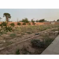 گلدشت-باغ