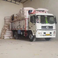 کاه گندم دیم درجه یک بشرط