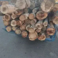 چوب گردوبیدمیوه صنوبر،،
