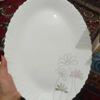 سرویس ارکوپال نو