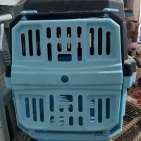 باکس سگ سالم