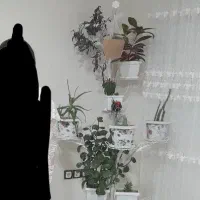 استندگل فوری فوری