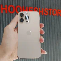 13pro