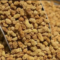 توت  خشک سفید آذربایجان