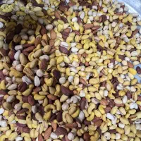 آموزش حرفه ای تفت آجیل خشکبار