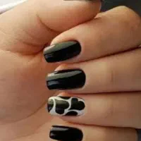 ناخنکارکاشت،ترمیم