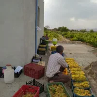 2500متر-زمین-با-بنا-اینو-باید-از-نزدیک-دید