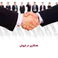 کارشناس فروش اینترنتی و اینستاگرامی