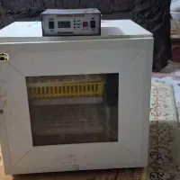 دستگاه جوجه کشی ۸۴تایی فوری