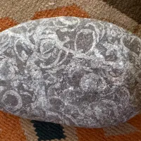 سنگ فسیل خیلی قدیمی