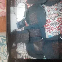 تیبا۲ و ۲۰۶